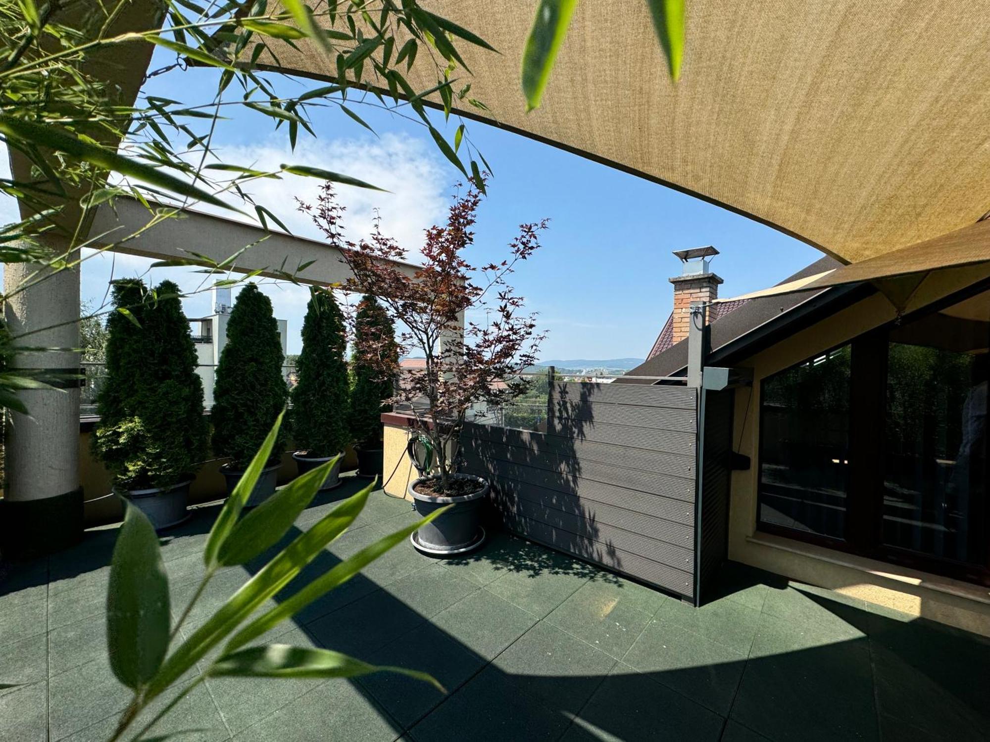 Апартаменты House Pica Клуж-Напока Экстерьер фото